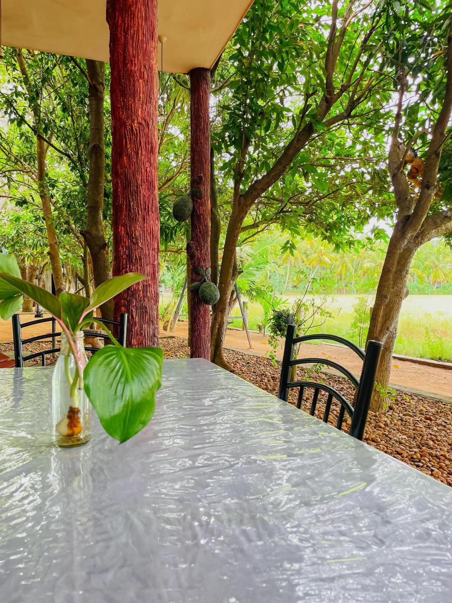 V Cabanas & Yala Safari Place Tissamaharama Exteriér fotografie